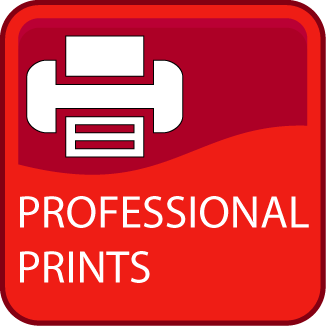 Impresora Fotografías Digital Profesional para Photocall